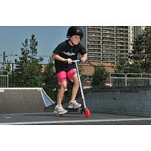 pTRU1-7957013_alternate1_reg