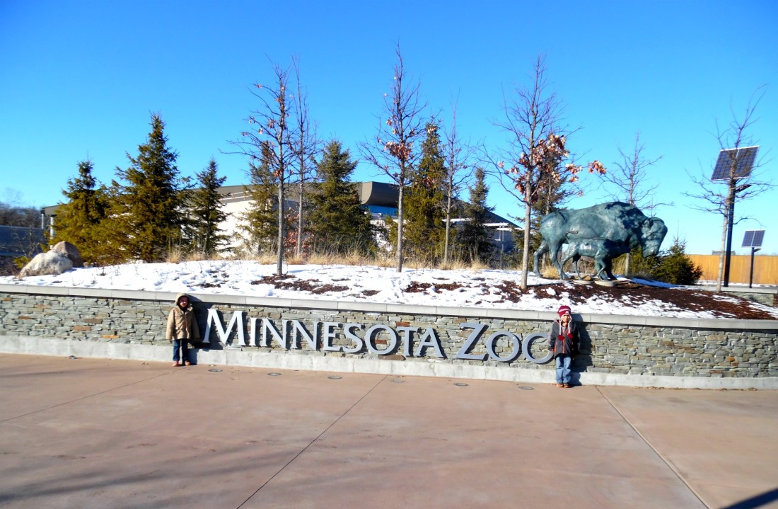 Beat The Winter Blues Minnesota Zoo Beat The Winter Blues Minnesota Zoo