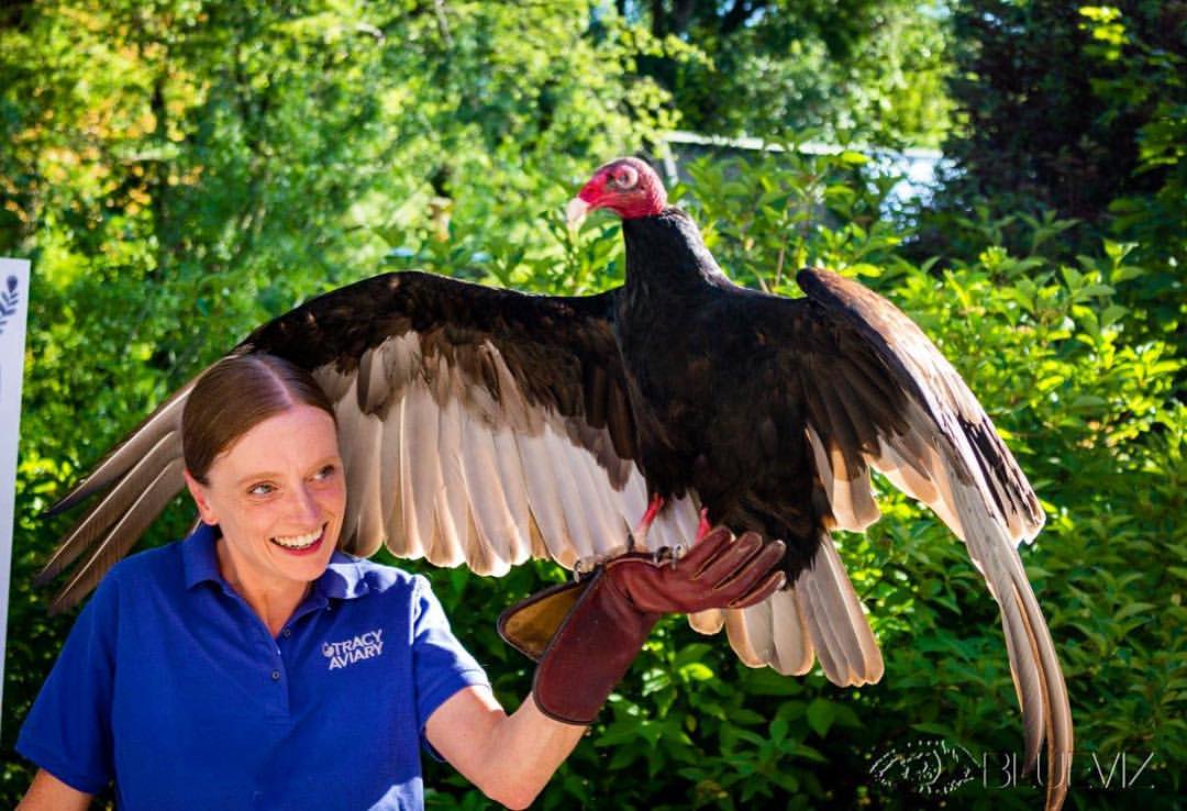 13502635_10155486379858084_3813499077969981564_o