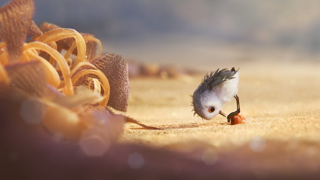 BIG ADVENTURE — A hungry sandpiper hatchling ventures from her nest for the first time to dig for food by the shoreline in "Piper," a new short from Pixar Animation Studios. Directed by Alan Barillaro (supervising animator "WALL•E," "Brave"), "Piper" debuts in theaters on June 17, 2016, in front of "Finding Dory." ©2016 Disney•Pixar. All Rights Reserved.