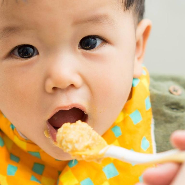 Homemade and Blessed Organic Freeze Dried Baby Food Review and Discount