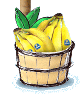 view_chiquita_store