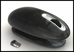 mouse