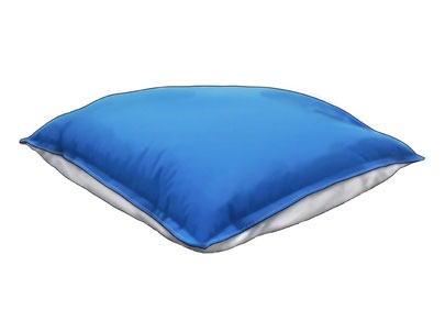 Polar-Pillow