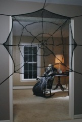 spiderweb