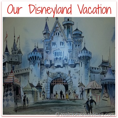 our Disneyland Vacation