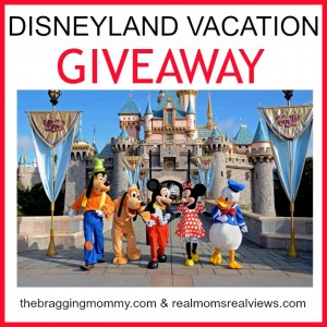 disneyland vacation giveaway square banner