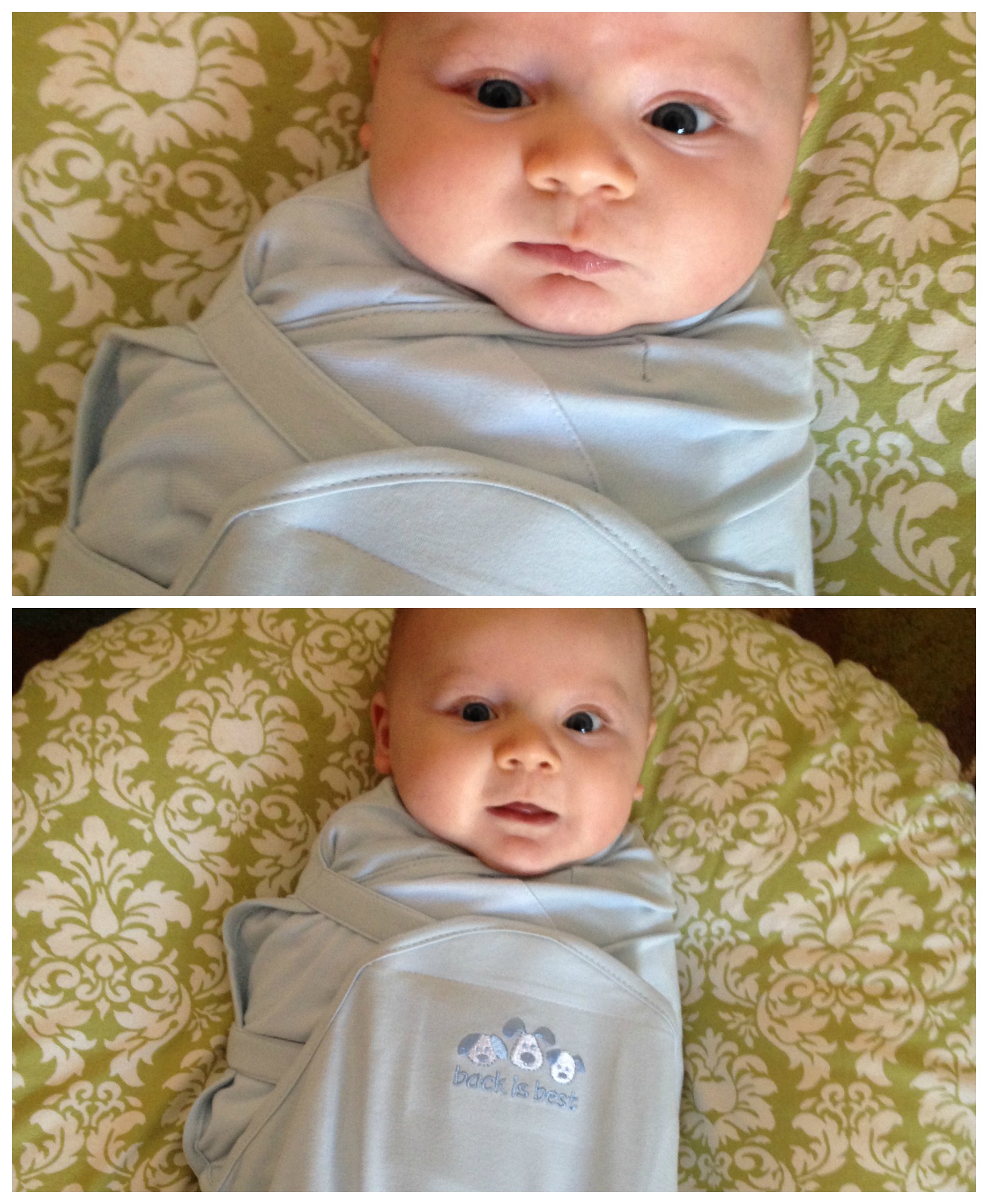 PicMonkey Collage2 