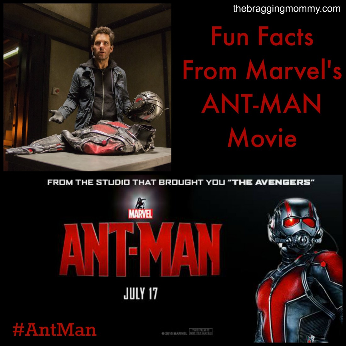 antmanfunfacts