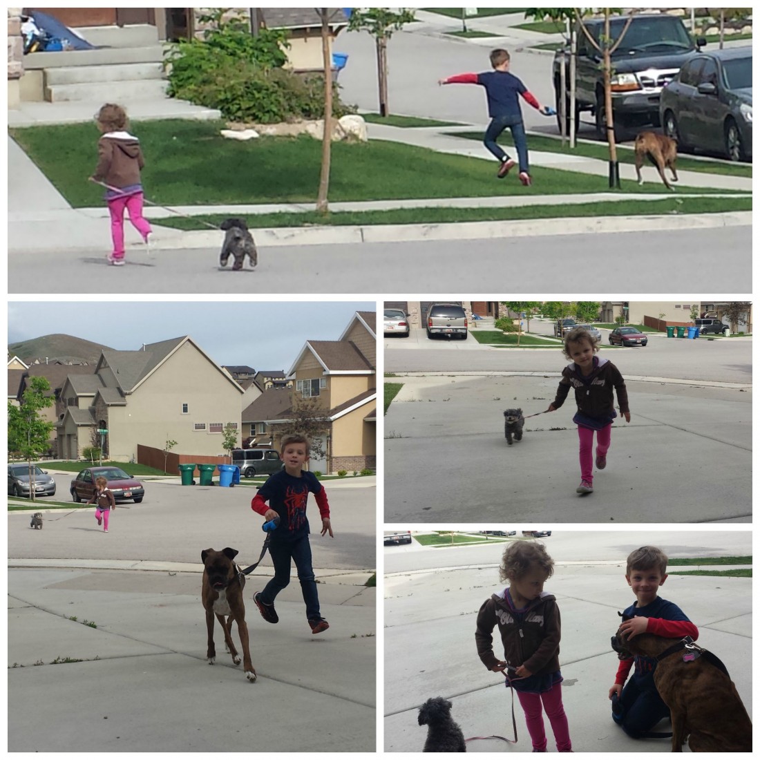 kidswalkingdogs