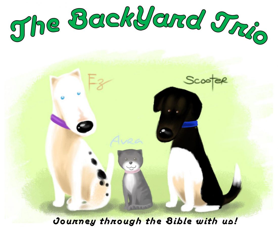 The-BackdYard-Trio-Logo
