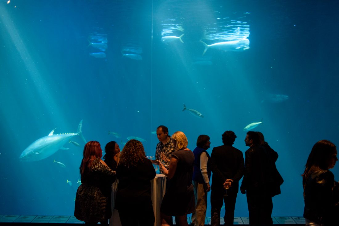 Finding Dory Long Lead Day international press and mommy bloggers at the Monterey Bay Aquarium in Monterey, CA. Photo by Marc Flores. ©2016 Disney•Pixar. All Rights Reserved.