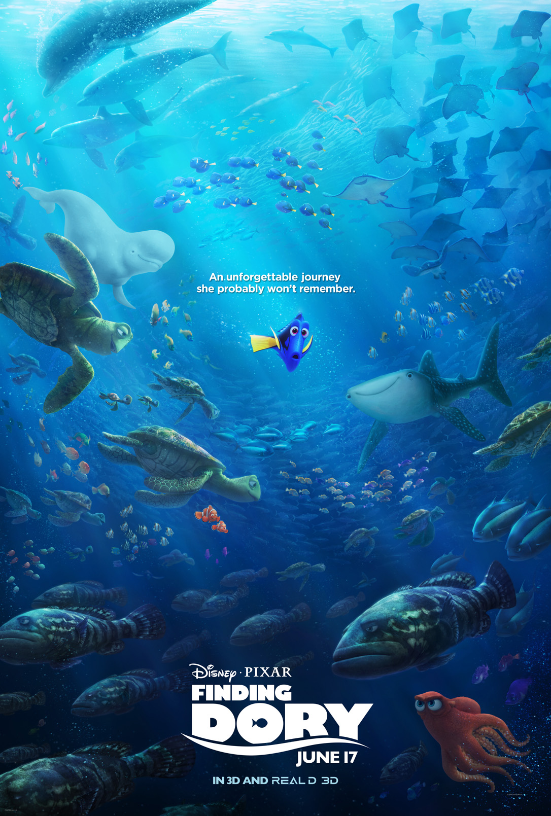 findingdory56e083961b31d