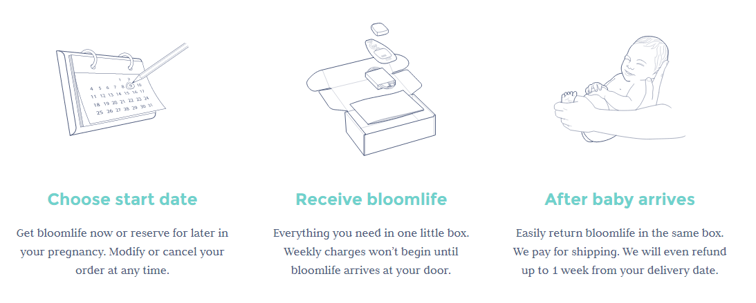 bloomlife4