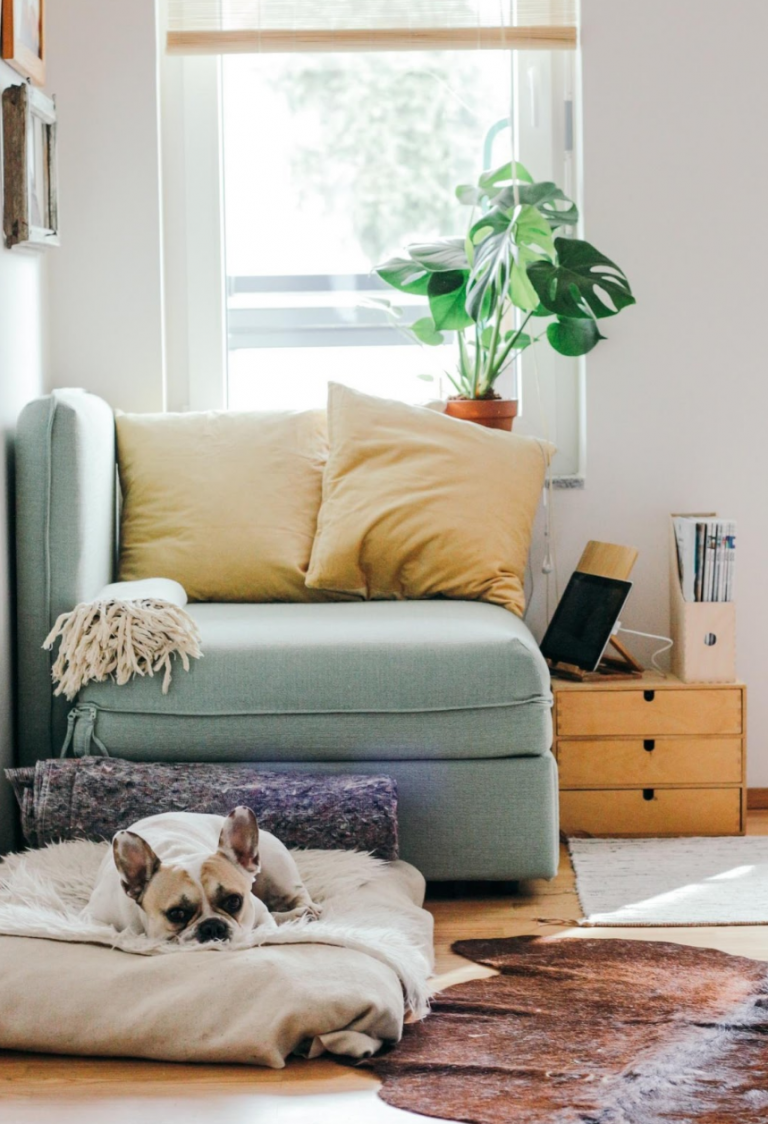 Spring Home Make Over Spring Home Makeover Tips - Bragging Mommy