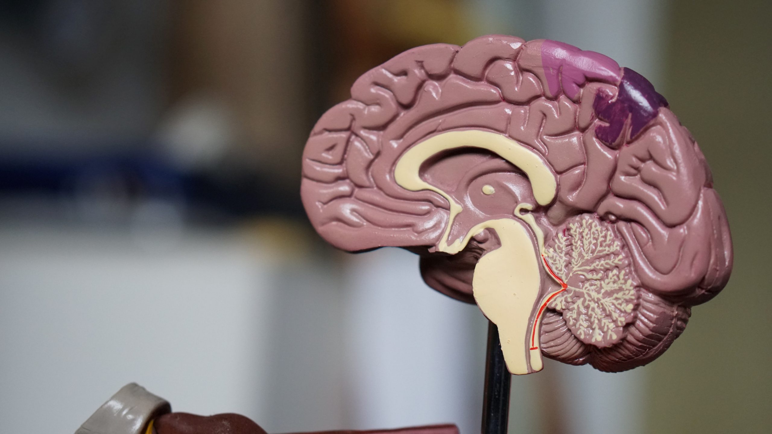 How To Help Your Child Improve Their Working Memory How To Help Your Child Improve Their Working Memory