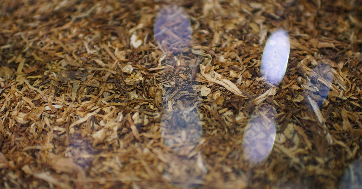 Keeping Tobacco Fresh in the Freezer