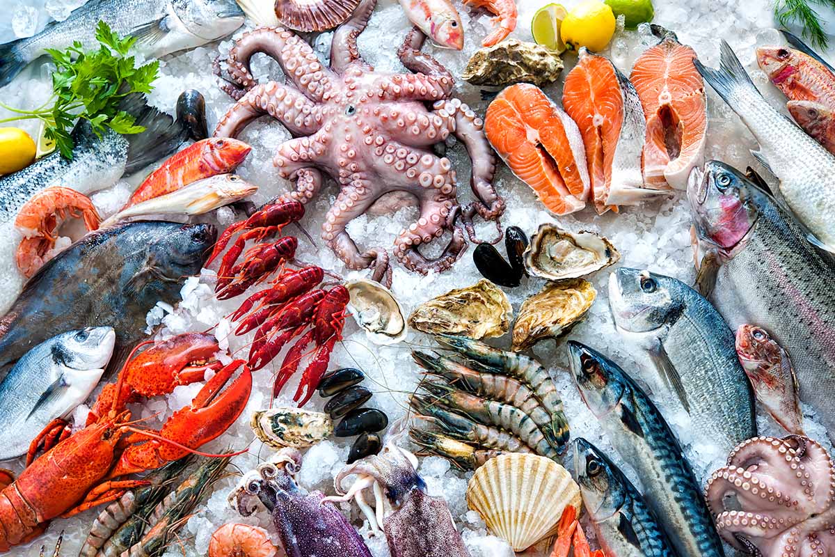 Seafood on ice at the fish market.