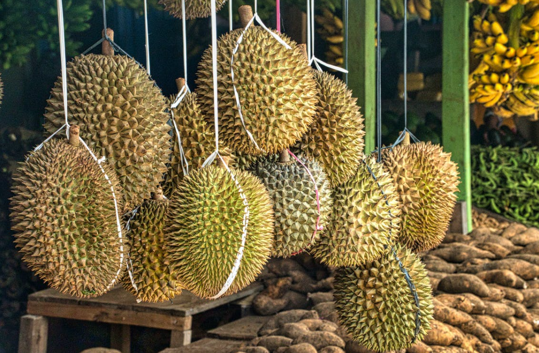 Durian delivery clearance